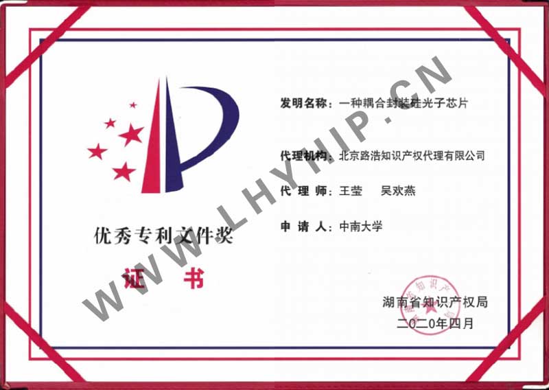 優(yōu)秀專(zhuān)利申請文件獎